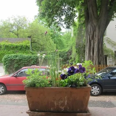 Apartment Zwischen-rhein-und-reben, Zentral, Barrierefrei *
